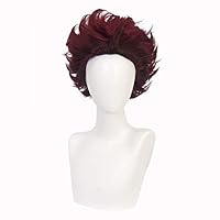 Amazon.co.jp: HIROAKIYA 不死川実弥 コスプレ ウィッグ ウィッグ